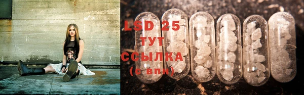 ПСИЛОЦИБИНОВЫЕ ГРИБЫ Магадан