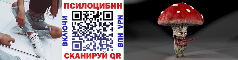 Галлюциногенные грибы Psilocybe  Купить где  Ува 